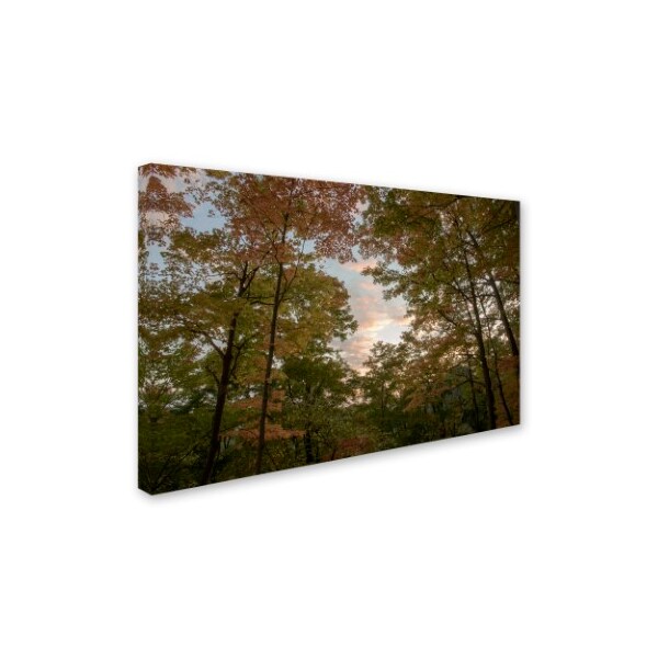Kurt Shaffer 'Autumn Window To A Sunset' Canvas Art,16x24